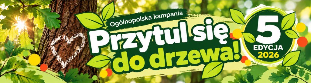 Przytul się do drzewa.