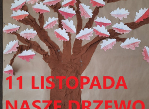 11 LISTOPADA NASZE DRZEWO PATRIOTYCZNE