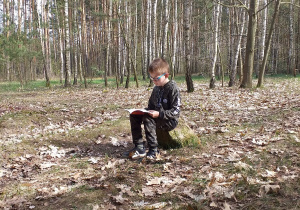 Mikołaj Kaczmarek z kl. 1 a czyta książkę siedząc na pieńku w lasku brzozowym.