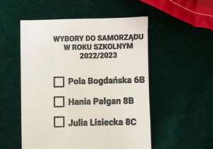Lista kandydatów na przewodniczącego samorządu skzolnego.