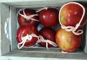 Owoce jesieni - jabłka