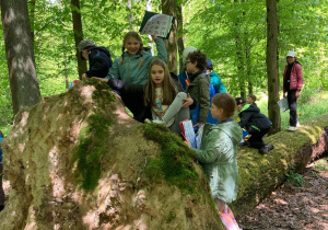 Uczniowie klasy 2a podczas zajęć w Lesie Łagiewnickim.