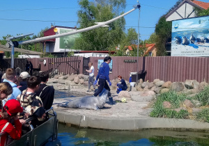 Uczniowie klas 5a i 7b podczas 4 dniowej wycieczki nad morze.