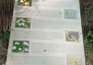 Uczniowie klasy 1a uczestniczący w warsztatach w ogrodzie botanicznym.