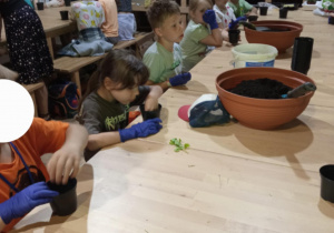Uczniowie klasy 1a uczestniczący w warsztatach w ogrodzie botanicznym.