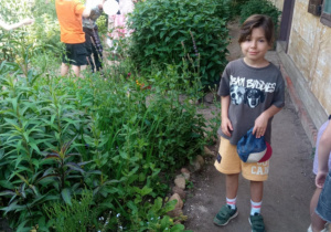 Uczniowie klasy 1a uczestniczący w warsztatach w ogrodzie botanicznym.
