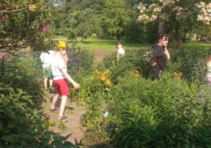 Uczniowie klasy 1a uczestniczący w warsztatach w ogrodzie botanicznym.