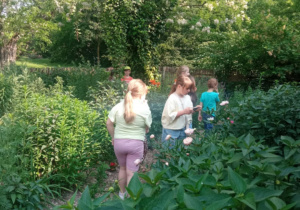 Uczniowie klasy 1a uczestniczący w warsztatach w ogrodzie botanicznym.