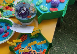 Doświadczenia przeprowadzone podczas lekcji biologii.