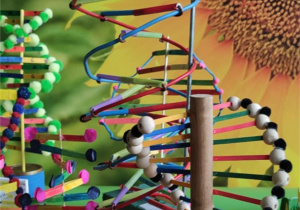 Doświadczenia przeprowadzone podczas lekcji biologii.