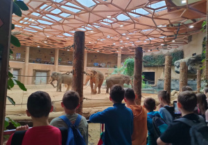 Warsztaty edukacyjne połączone ze zwiedzaniem Orientarium ZOO Łódź