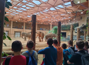Warsztaty edukacyjne połączone ze zwiedzaniem Orientarium ZOO Łódź