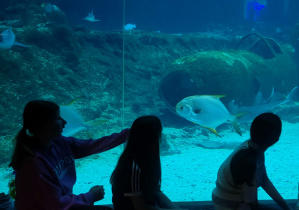 Warsztaty edukacyjne połączone ze zwiedzaniem Orientarium ZOO Łódź
