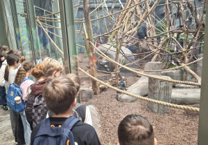 Warsztaty edukacyjne połączone ze zwiedzaniem Orientarium ZOO Łódź