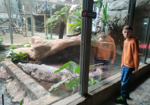 Warsztaty edukacyjne połączone ze zwiedzaniem Orientarium ZOO Łódź