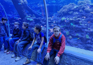 Warsztaty edukacyjne połączone ze zwiedzaniem Orientarium ZOO Łódź