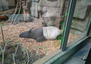 Warsztaty edukacyjne połączone ze zwiedzaniem Orientarium ZOO Łódź
