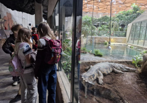 Warsztaty edukacyjne połączone ze zwiedzaniem Orientarium ZOO Łódź