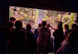 Warsztaty edukacyjne połączone ze zwiedzaniem Orientarium ZOO Łódź