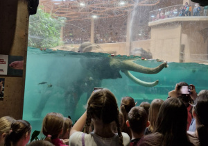 Warsztaty edukacyjne połączone ze zwiedzaniem Orientarium ZOO Łódź