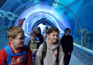 Warsztaty edukacyjne połączone ze zwiedzaniem Orientarium ZOO Łódź