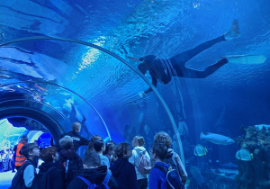 Warsztaty edukacyjne połączone ze zwiedzaniem Orientarium ZOO Łódź