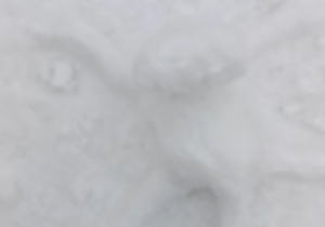 Podsumowanie omawiania lektury ,,Opowieści z Narnii".