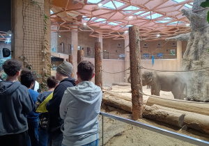 Uczniowie klas 7A i 7B w Orientarium.