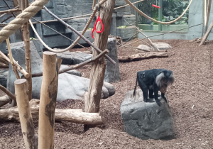 Uczniowie klas 7A i 7B w Orientarium.