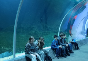 Uczniowie klas 7A i 7B w Orientarium.