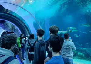 Uczniowie klas 7A i 7B w Orientarium.