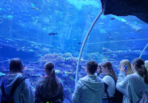 Uczniowie klas 7A i 7B w Orientarium.