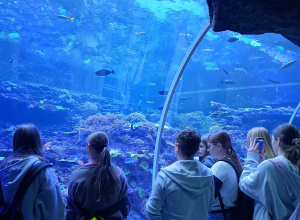 Uczniowie klas 7A i 7B w Orientarium.