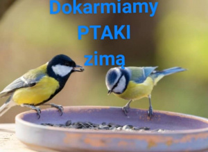 Zajęcia dotyczące dokarmiania ptaków zimą.