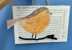 Zajęcia dotyczące dokarmiania ptaków zimą.