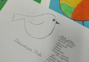 Zajęcia dotyczące dokarmiania ptaków zimą.