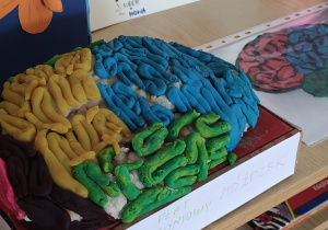 Tydzień Mózgu w naszej szkole