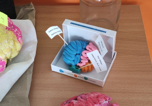 Tydzień Mózgu w naszej szkole