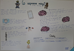 Tydzień Mózgu w naszej szkole