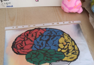 Tydzień Mózgu w naszej szkole