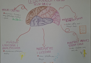 Tydzień Mózgu w naszej szkole