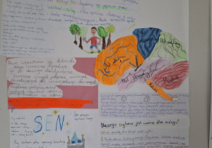 Tydzień Mózgu w naszej szkole