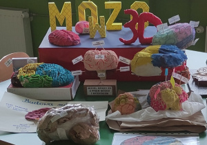 Tydzień Mózgu w naszej szkole