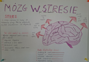 Tydzień Mózgu w naszej szkole