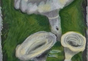 Zuzanna Gołębiowska "Strażnicy lasu".