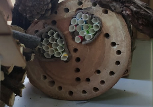Ekologiczny domek dla owadów.