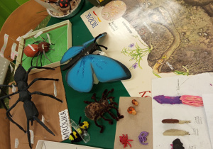 Fotorelacja z Drzwi otwartych w naszej szkole.